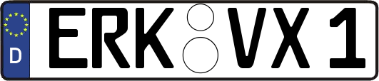 ERK-VX1