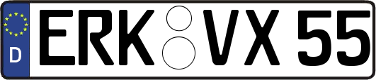 ERK-VX55