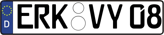 ERK-VY08