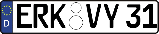 ERK-VY31