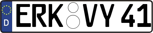 ERK-VY41