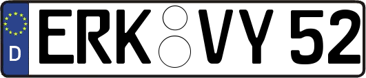 ERK-VY52