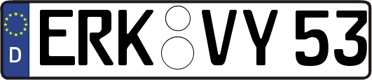 ERK-VY53