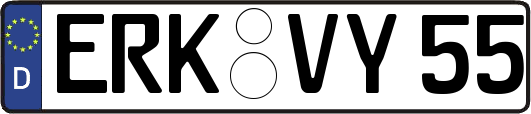 ERK-VY55