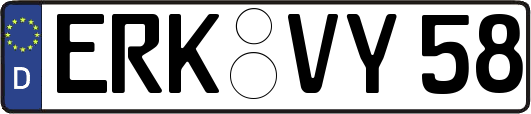 ERK-VY58