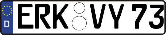 ERK-VY73