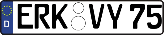ERK-VY75