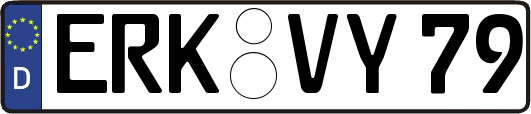 ERK-VY79