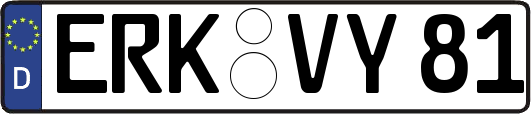 ERK-VY81