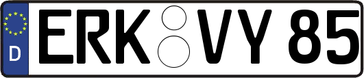 ERK-VY85