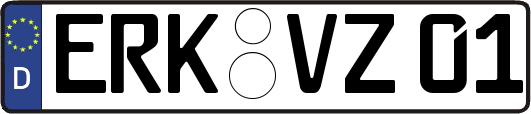 ERK-VZ01