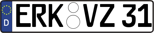 ERK-VZ31