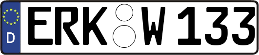 ERK-W133