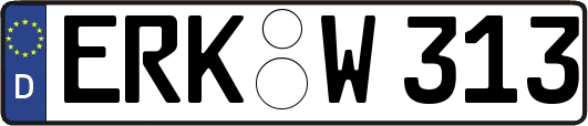 ERK-W313