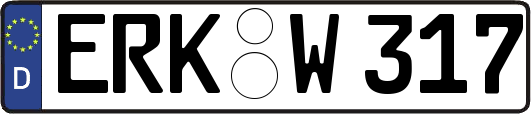 ERK-W317