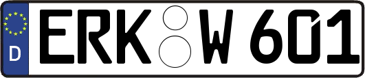 ERK-W601