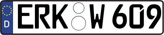 ERK-W609