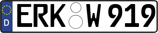 ERK-W919