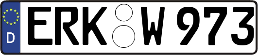 ERK-W973