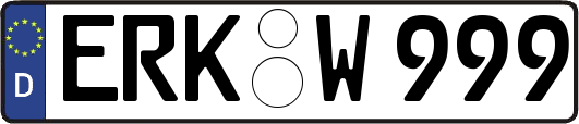 ERK-W999