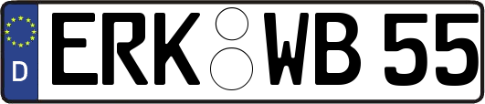 ERK-WB55