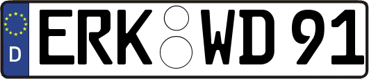 ERK-WD91