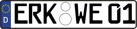 ERK-WE01