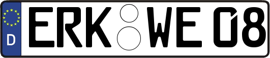 ERK-WE08