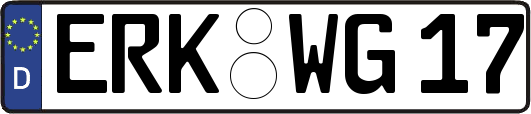 ERK-WG17