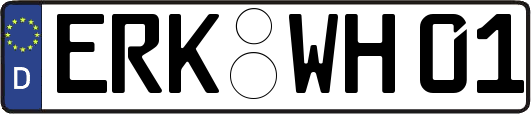 ERK-WH01