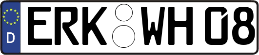 ERK-WH08