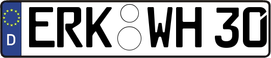 ERK-WH30