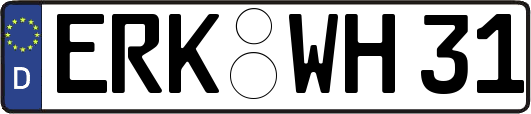 ERK-WH31