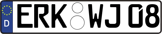 ERK-WJ08