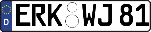 ERK-WJ81