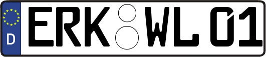 ERK-WL01
