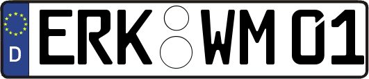 ERK-WM01