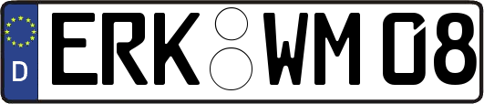 ERK-WM08