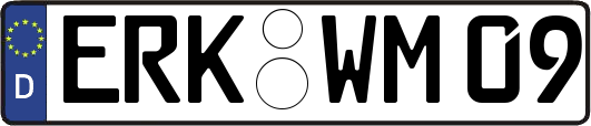 ERK-WM09