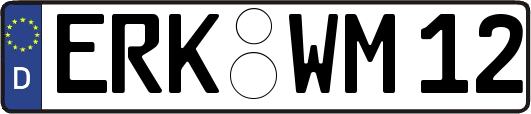 ERK-WM12