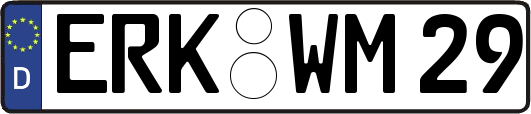 ERK-WM29