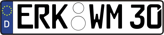 ERK-WM30