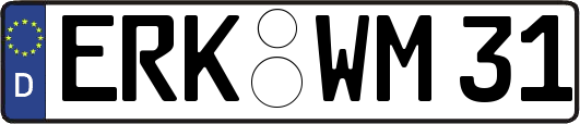 ERK-WM31
