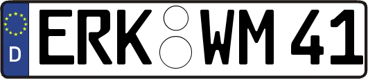 ERK-WM41