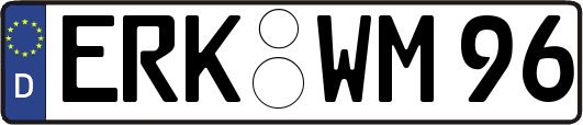 ERK-WM96