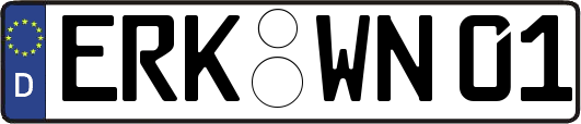 ERK-WN01