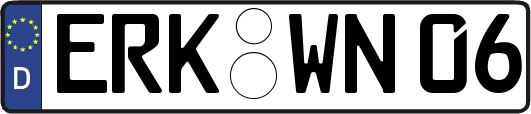 ERK-WN06