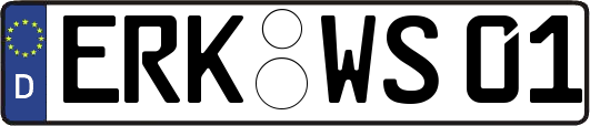 ERK-WS01