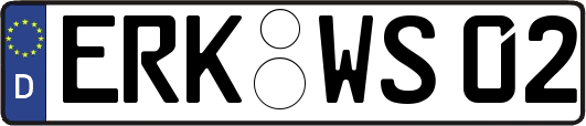 ERK-WS02