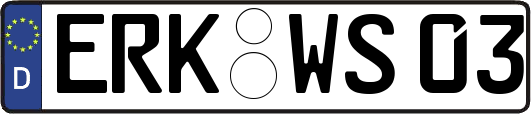 ERK-WS03